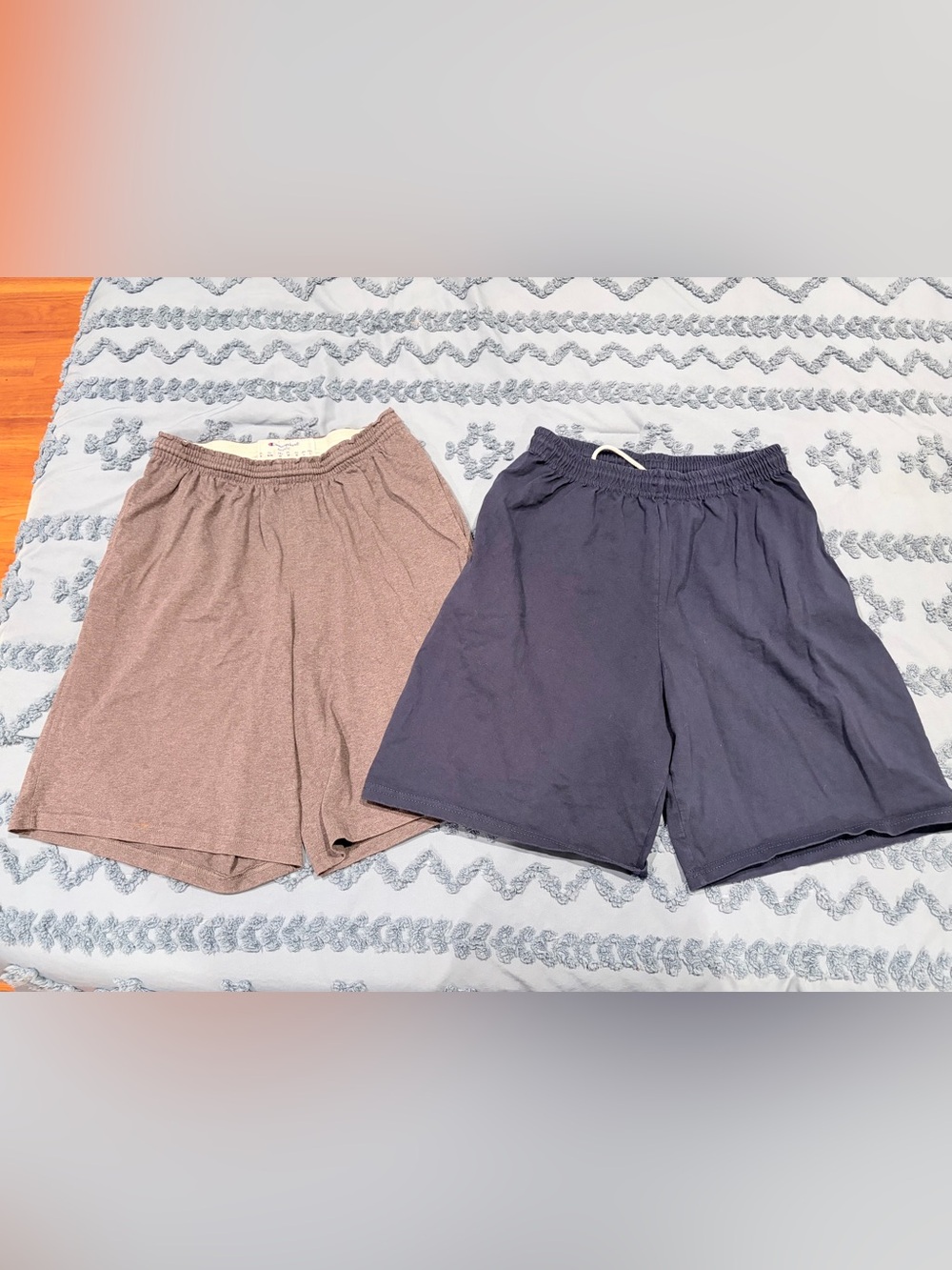 Champion & Russell Athletic Men’s Shorts Lot Size M (2 Pair)